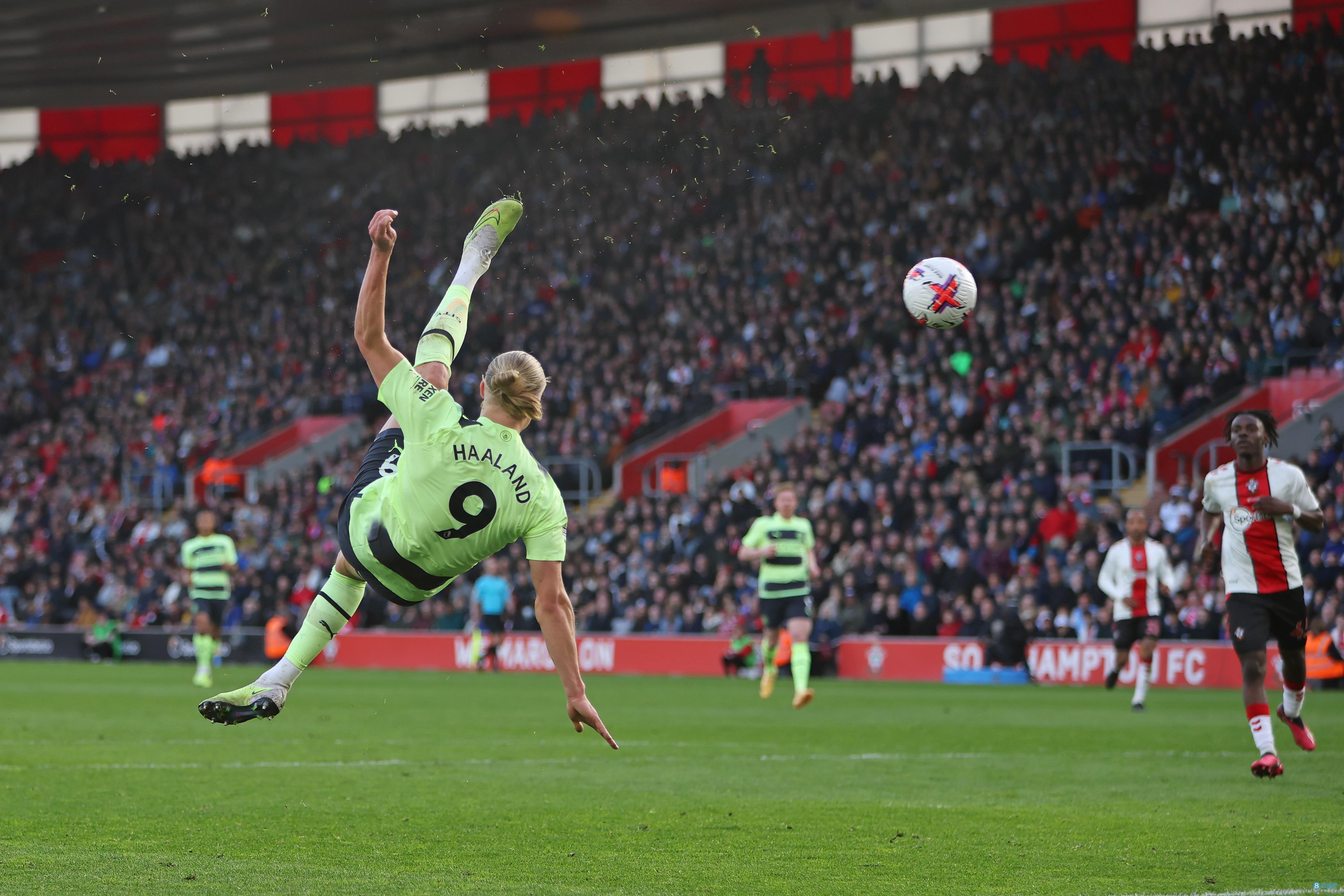 票的共同诱 票的共同诱